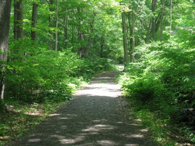 Bushkill Falls May 2011