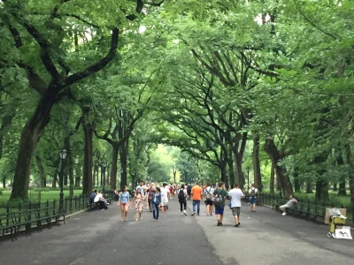 NYC park path